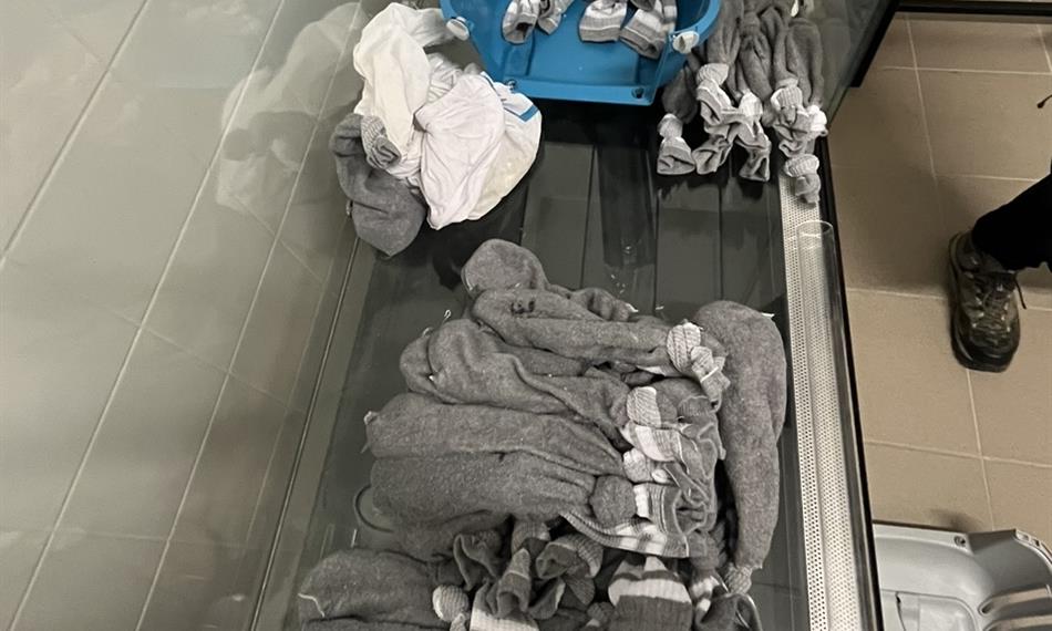 zajištěné exempláře chráněných živočichů