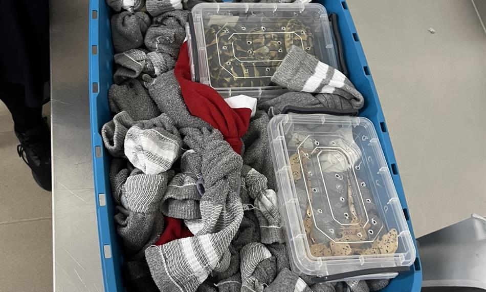 zajištěné exempláře chráněných živočichů