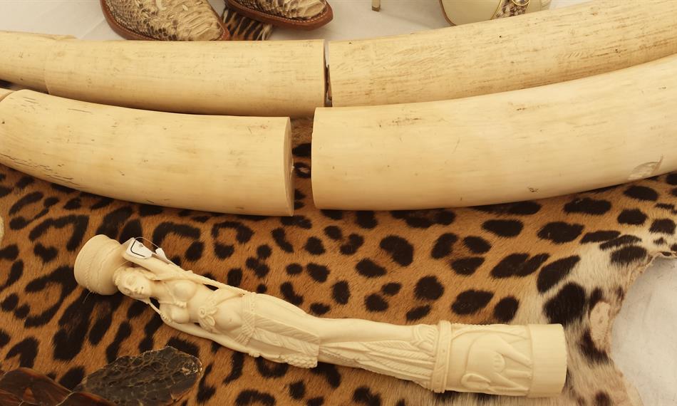 snímek zajištěného zboží