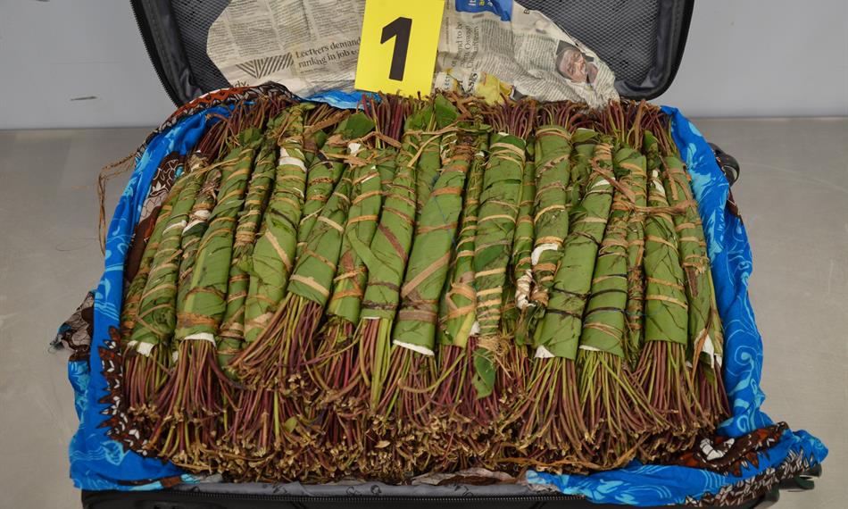 snímek zajištěného zboží