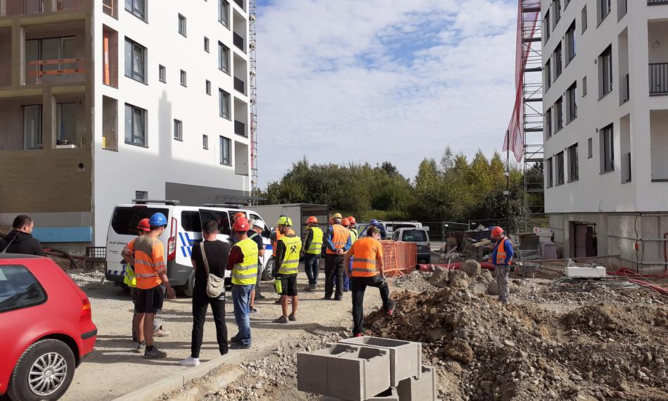 nelegální zaměstnávání cizinců