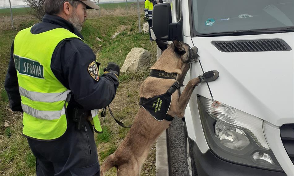 Fena Apple s psovodem při práci