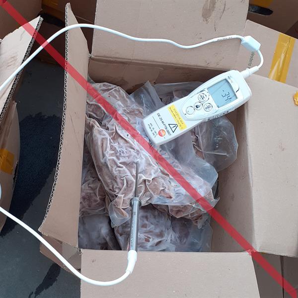 měření teploty masa