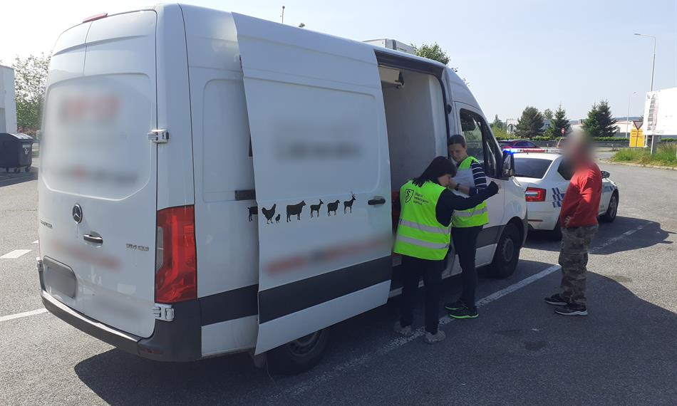 Krajská vetrinární správa kontrolující dodávku s masem