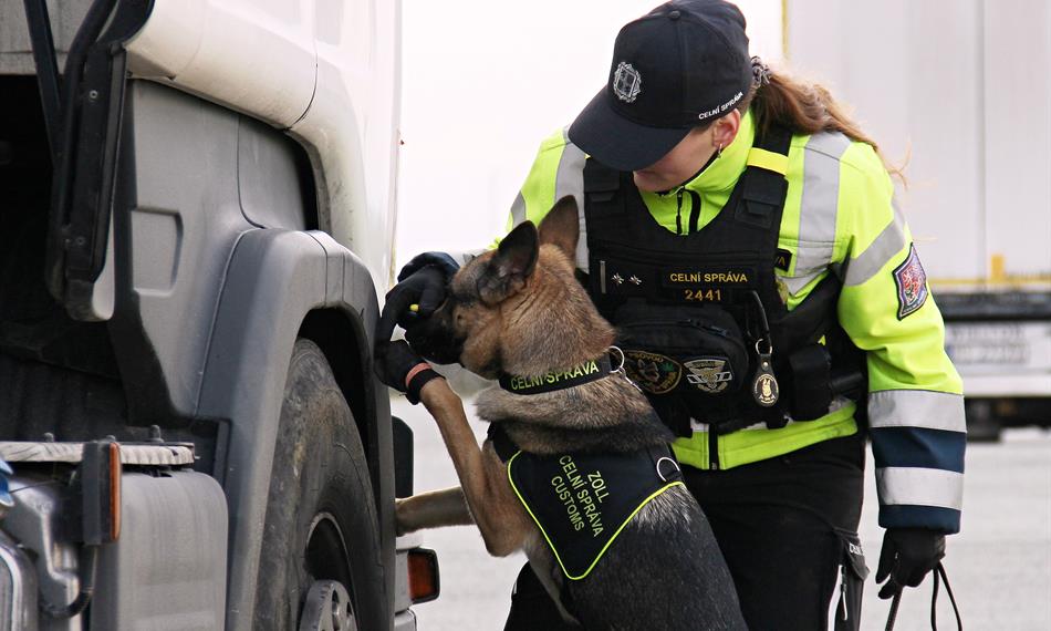 kontrolní činnost se psem