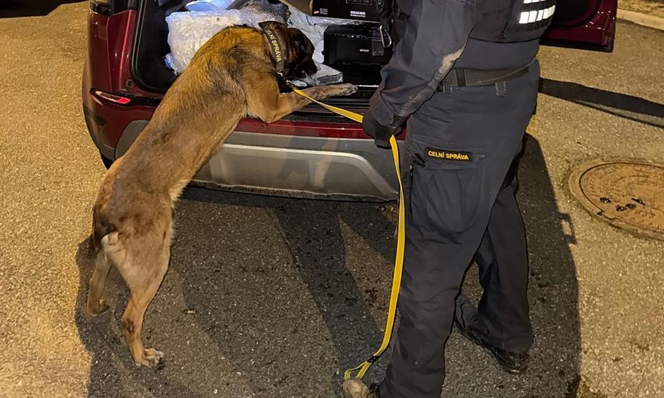 na zásilku kokainu pozitivně reagoval služební pes