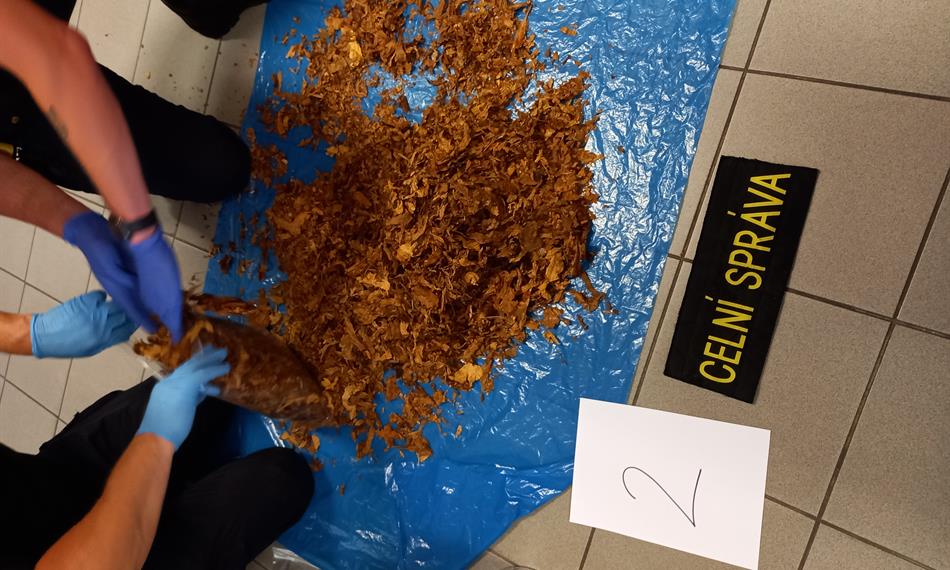 Zpracování zadrženého tabáku 