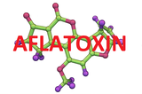 aflatoxin_WEB.png