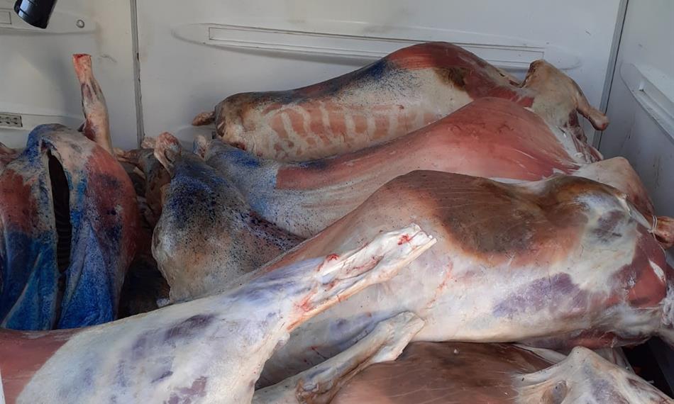 Přeprava závadného masa