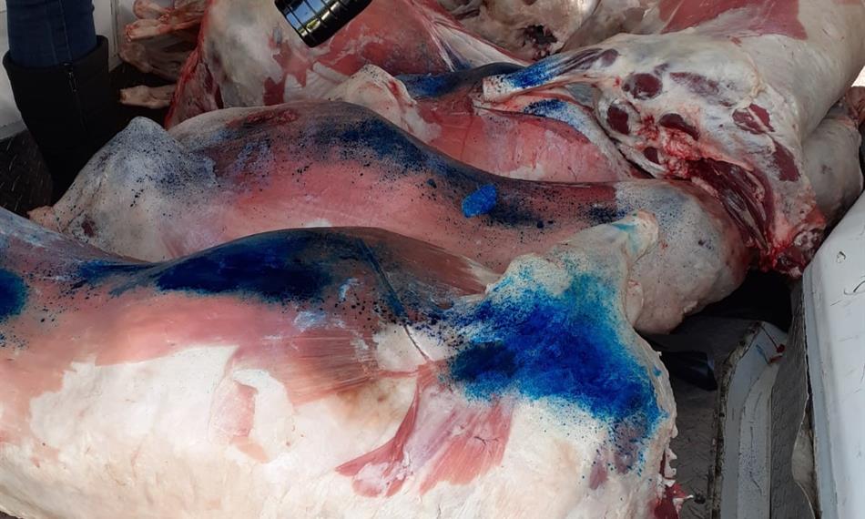 Přeprava závadného masa