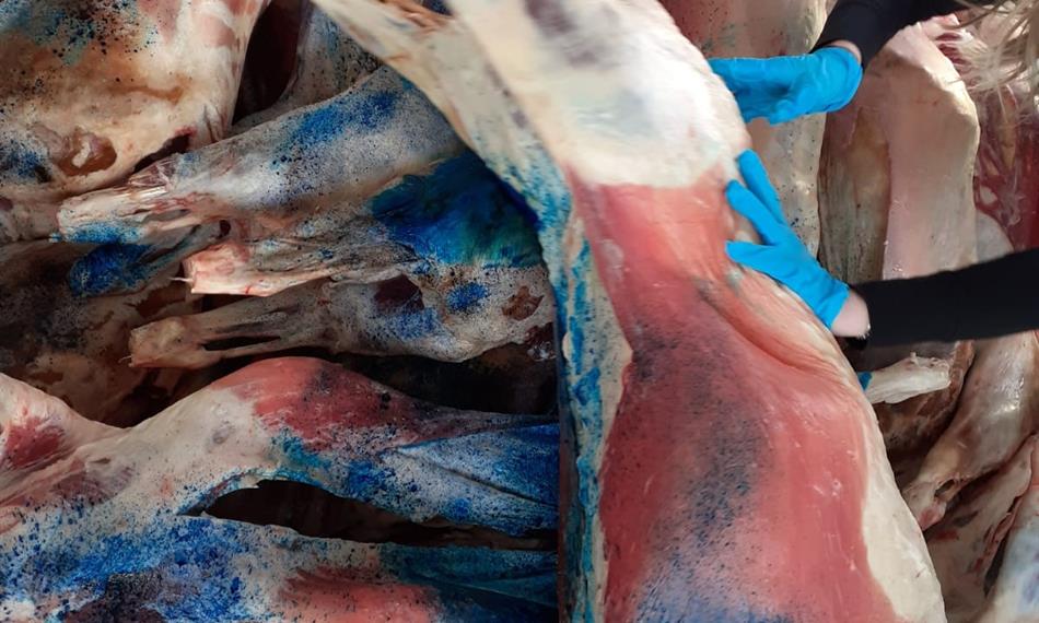 Přeprava závadného masa