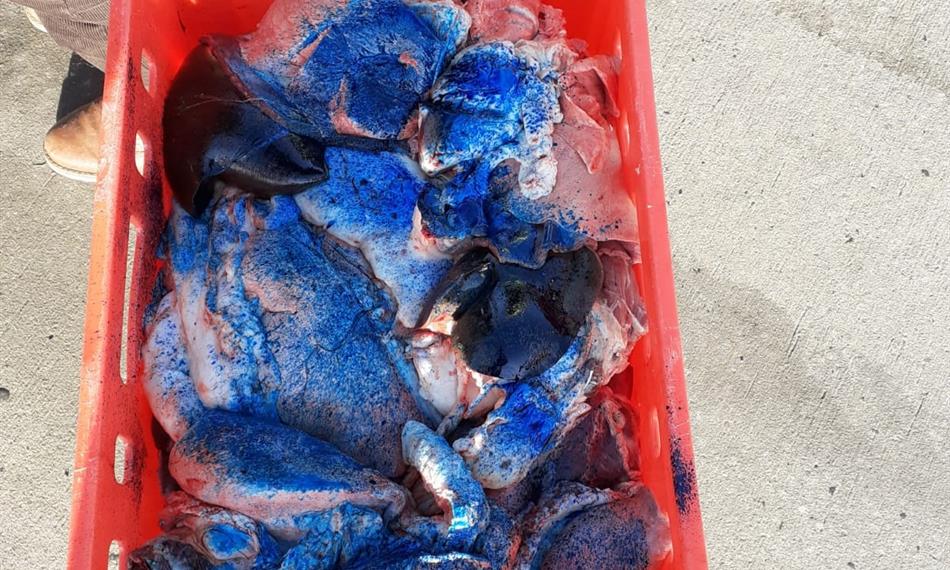 Přeprava závadného masa