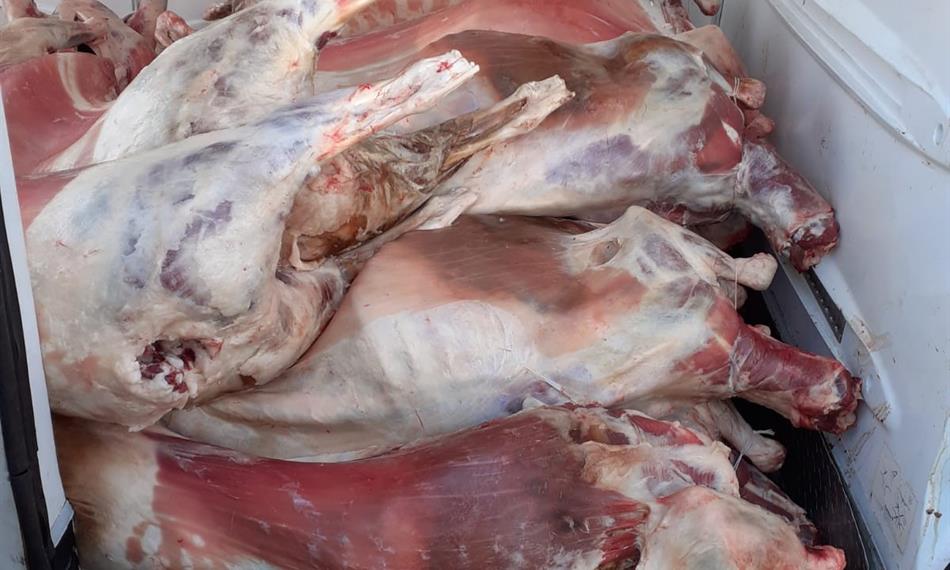 Přeprava závadného masa