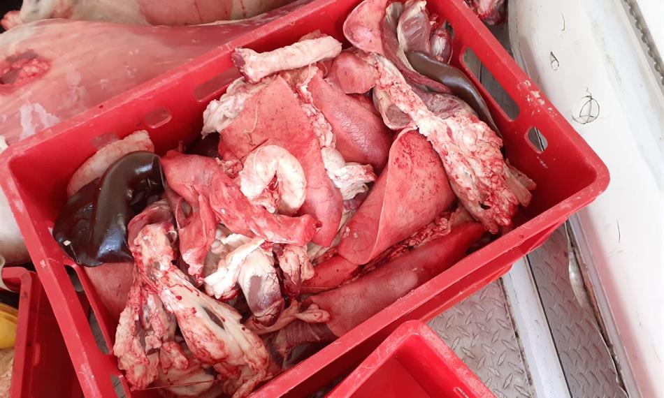 Přeprava závadného masa