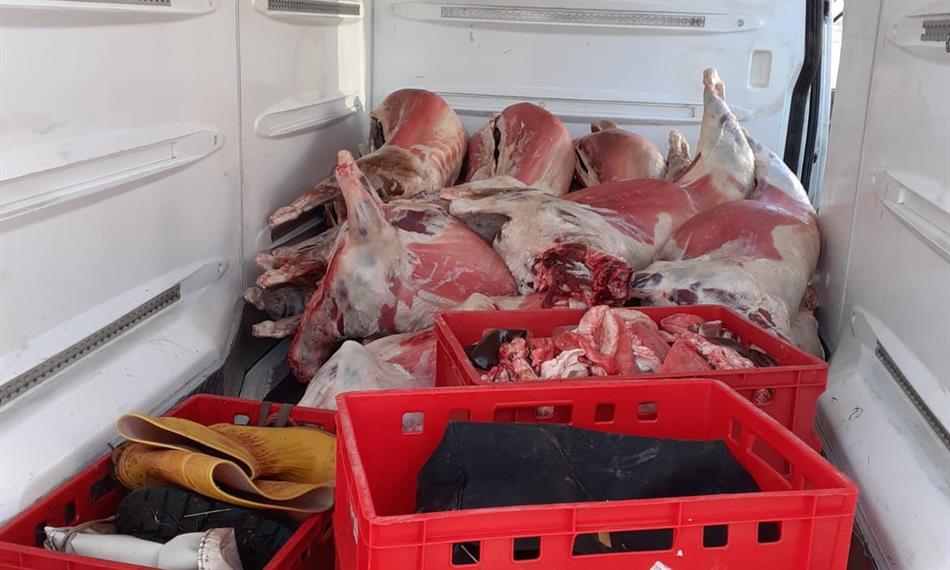 Přeprava závadného masa