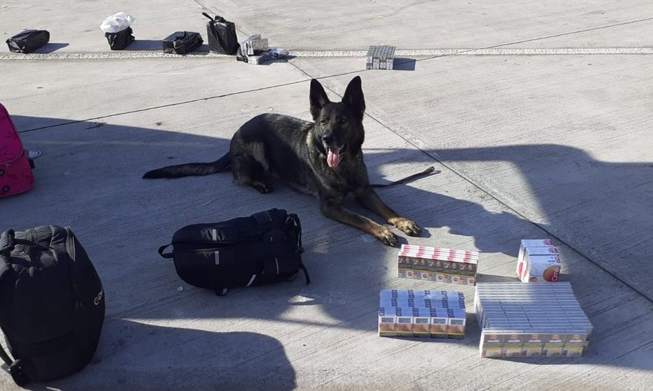 Výběr spotřebních daní