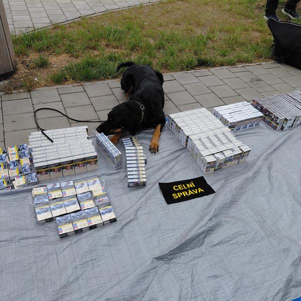 Zadržené cigarety