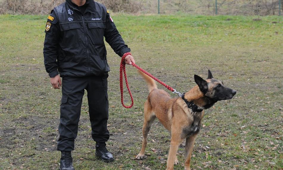 2016-12-5-1122Heřmanice-2016-01.jpg
