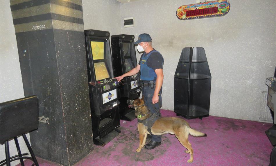 celník se psem a automaty